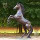 Bronze Garden Horse Statues Life Size Metal Artistic Animal Brass Sculpture Decoration Outdoor