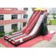 Ice Age Inflatable Slide Rental Double Water Slide For Ice Age Film Fans