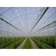 Simple Structure Commercial Hydroponic Greenhouse Gutter Height 2-6m CE Approved