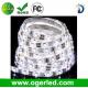 DC12V 30LED/M Flexible LED Strip 5050 CE Approval Waterproof LED Decoration