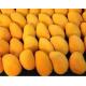 Mango Fruit Jam Production Line Automatic High Capacity