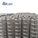 Special Design Widely Used Galvanized Welded Wire Mesh Farm Fence Roll Welding Square Protection