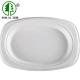 25g White Biodegradable Bagasse Tableware 20g Oval Dish Plate