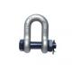 Wear Resistance 304 316 Ss D Shackle Extra Wide Imperial Or Metric Size