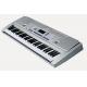 61 KEYS Standard Electronic keyboard Piano LED display ARK-2172