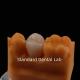 Full Contour Zirconia Crown Exceptional Strength and Esthetics No Porcelian Overlay Posterior Crown China Dental Lab