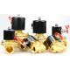 Motorized 2 Wire Brass Electric 2 Way Replace Solenoid Valve AC220V/DC12V/24V