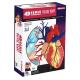 20 Parts 4d Anatomical Heart Model For Medical Teaching