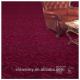 Chinese wine red cut loop pile nylon home, commercial carpet