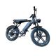 Electric Fat Tire Snow Beach E-Bike with Double Disc Brake and Lithium Battery Supply