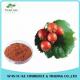 Skin Care Wild Rose Fruit Extract Powder Rich in VC