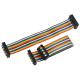 Rainbow Color IDC Cable Assemblies , 2mm Pitch Ribbon Cable 40 Pin 50 Pin 60 Pin