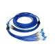 SM 12 Core G657A1 OD6.0mm Armored Optical Cable Blue Color