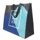 50cm OEM Laminated 100gsm Non Woven Shopping Bag