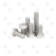 Hex Head Cap Bolt / Screw---HCS