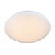 2700-6500K Natural / cool / warm LED modern ceiling lighting replacement