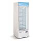 Upright R404A Commercial Refrigerator Freezer For Beer Cooler , 12 cu. ft