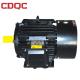 Single Phase Variable Frequency Induction Motor New Technology UABPD Series