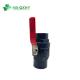 PVC 2 Piece Valve with Straight Through Type and Two Stainless Steel Handle Ball Valve