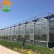 Large Multi-Span Glass Greenhouse with Hot-Dip Galvanized Skeleton and Control System