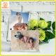 Promotional customized clear acrylic photo frame picture frame with magnets