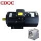 High Efficiency Variable Speed 240v Electric Motor High Overload Capacity