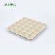 Greaseproof Paper Sugarcane Food Container Recycled Biodegradable Egg Tray