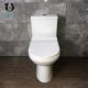 Ceramic Two Piece Toilet Bowl Practical Design Style Floor Mounted Installation