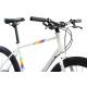 700C Tire Carbon Disc Brake Road Bike With 11 Speed