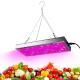 Red Blue 150W 289 Leds Dimmable Indoor Plant Grow Lights