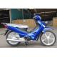 OEM 110cc Cub Motorcycle / Riders Super Cub With Disc Brake Petro Fuel
