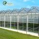Vegetable Fruits Flowers Tomatoes Greenhouse with Inside and Outside Shading System