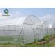 8m Plastic Film Greenhouse