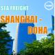Shanghai to Doha Qatar International Sea Freight Service 25 days