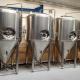 Double Beer Fermenter Beer Fermentation Tank Use For Brewery Brewhouse