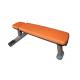 Bold Tube Gym Flat Weight Lifting Dumbbell Bench Equipment