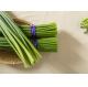45cm Garlic Growing Green Stems