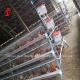 Raising Hens Made Easy With Poultry Layer Cage In A Or H Type 450cm2 Ada