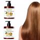 Ginger Oil Shampoo and Conditioner Set for Nourishing Hair Customized Logo Design