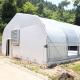 Light Deprivation Greenhouse Stable Structure for Commercial Farming