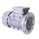 Tefc 3 Phase Squirrel Cage Induction Motor 5.5kw 7.5 Hp