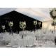 High Strength White Waterproof Wedding Event Tents Large A SHAPED Tent For 600 Seater