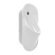 Back Water Inlet Wall Hung Urinal , White Glazed Auto Flush Cistern