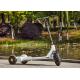 3 Wheel Cool Power Airuide Electric Stand Up Scooter