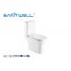 Chaozhou Fashionable Rimless Close Coupled Wc Toilet Floor Standing Washdown Flushing