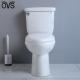 Ambulant Disabled Ada Comfort Height Toilet 18 19 Inch Roostic Separating
