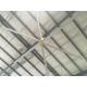 380V AC Big Rooms High Ceilings Gearbox Ceiling Fan