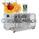Horizontal Stainless Steel Multi-Station Fully Automatic Premade Bag Packaging Machine