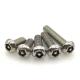 Industrial Custom Anti Theft Screw Stainless Steel Safety Fasteners