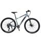 Double Wall Rim 29 Inch Mountain Bike for Adults on Road Riding